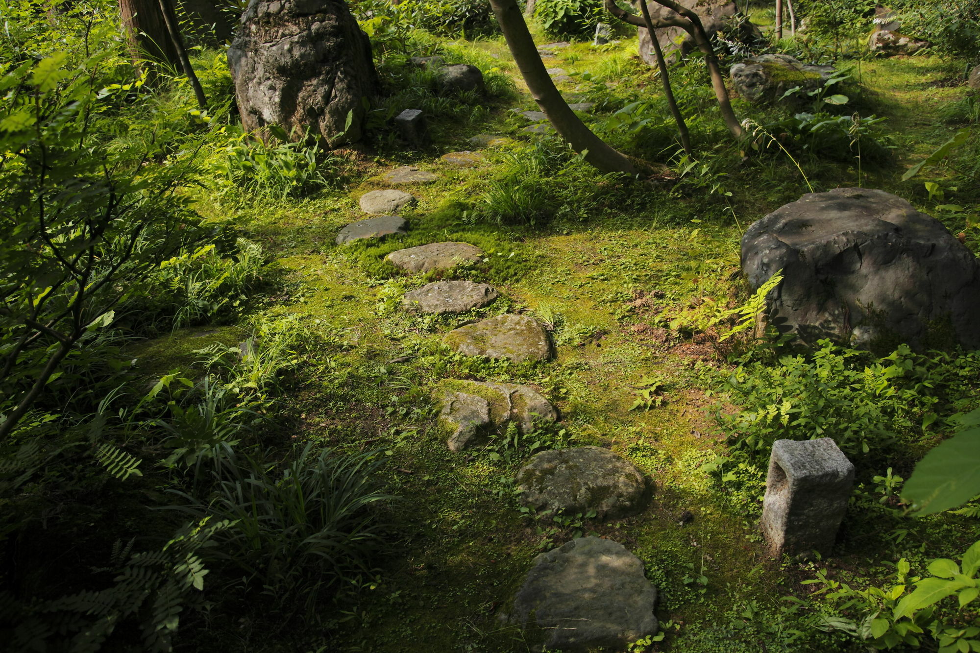 Ichirino Kogen Hotel Roan Hakusan Buitenkant foto
