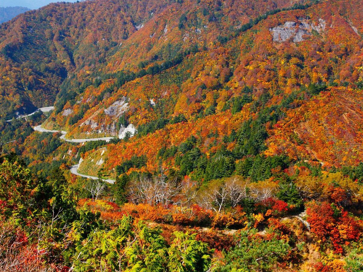 Ichirino Kogen Hotel Roan Hakusan Buitenkant foto